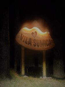 Vila Sumica Dobrodosli